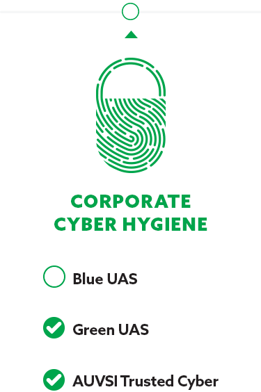 Corporate Cyber Hygiene