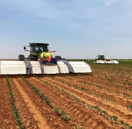 Blue River's new See and Spray machines weed cotton by spraying only weeds using real-time computer vision algorithms.